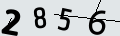 verifycode